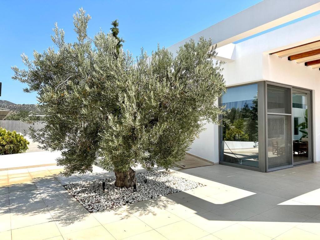 Leblanc Luxurious Beachfront Villa, Gcollectiongr Ερμιόνη Εξωτερικό φωτογραφία