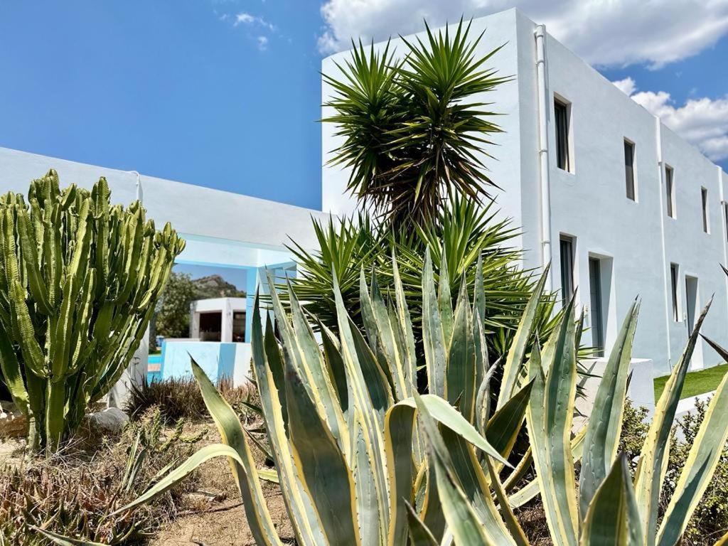 Leblanc Luxurious Beachfront Villa, Gcollectiongr Ερμιόνη Εξωτερικό φωτογραφία